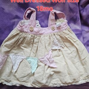 Well Dressed Wolf Pink and Cream Casual Dress